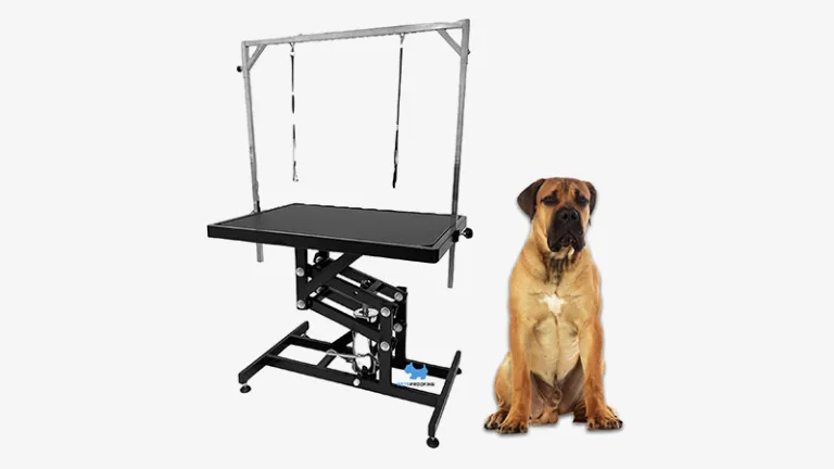 Electric Grooming Table