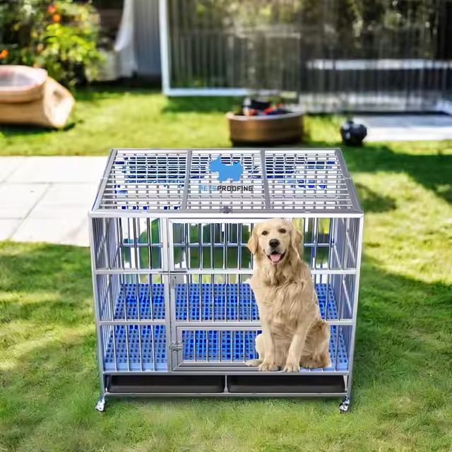 Commercial Stainless Steel Indoor Luxury Large Professional Vet Veterinary Dog Puppy Animal Canine Kennel Pets-Proof Solid