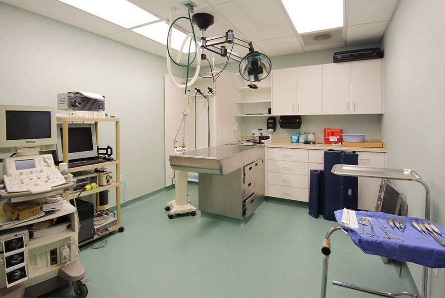 Pet Hospital Solution