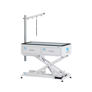 PETSPROOFING Luxury Electric Lifting Pet Dog Grooming Table with LED Light Salon Equipment Dogs Cats PP Material Easy Cleaning