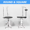 Sustainable Dog Show Pet Grooming Table Beauty Equipment Adjustable Height Foldable Stainless Steel Air Lifting Feature