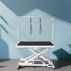 Professional Grade Petsproofing Stainless Steel Electric Lifting Folding Dog Show Pet Grooming Table Scissors Beauty Equipment