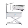 Sustainable LED Electric Lifting Pet Grooming Table Height Adjustable for Big Dogs Small Cats Made of Iron Power Source Included
