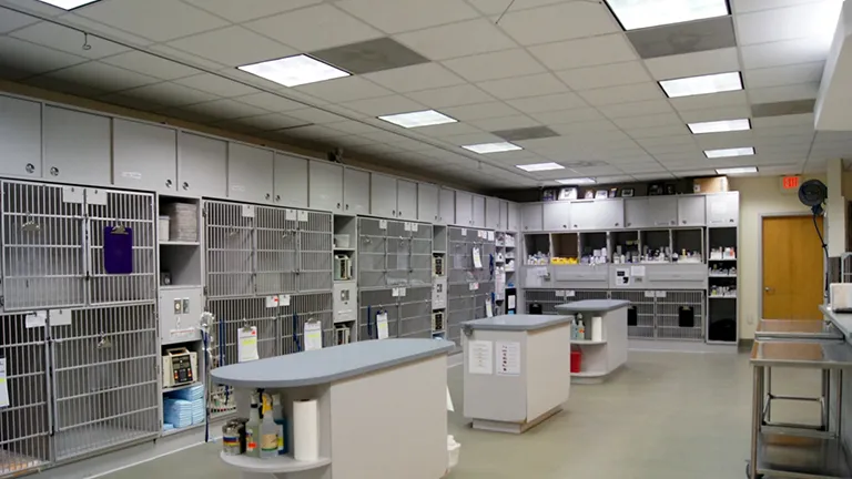 Ensuring Critical Care: The Importance of ICU Pet Cages
