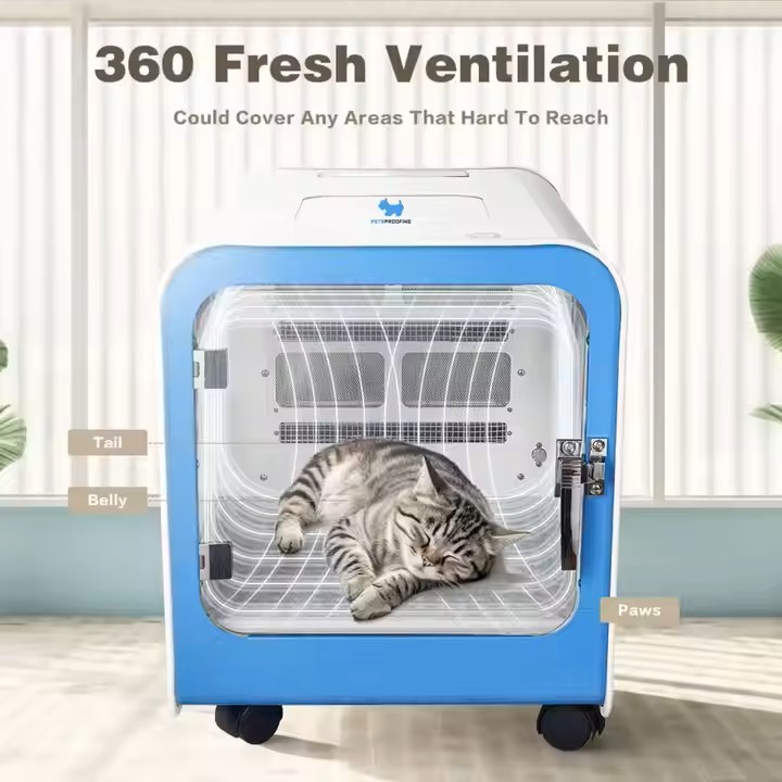 Professional feline grooming equipment setup