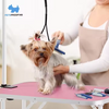 Petsproofing Stainless Steel Folding Adjustable Height Vet Pet Dog Beauty Grooming Table for Sale