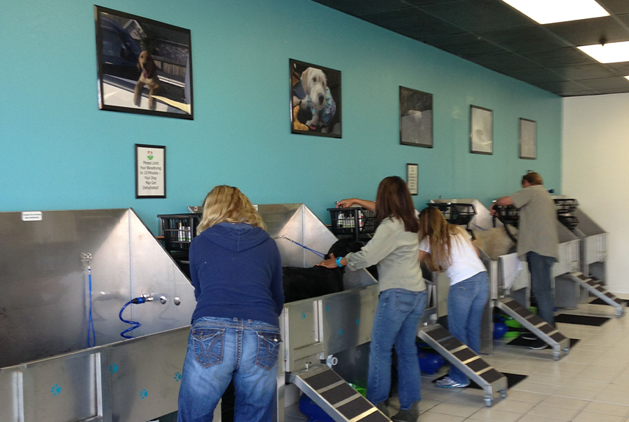Pet Grooming Shop