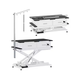 PTESPROOFING Electric Lifting Dog Grooming Table Hot Sale Large Pet Salon Table USB Socket Drawers Cats Dogs Iron Sustainable
