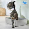 Eco Friendly Custom-made Portable Non-slip Xl Stainless Steel Cat Litter Toilet Box Metal Reduce Smell Cat Litter Trays for Cats